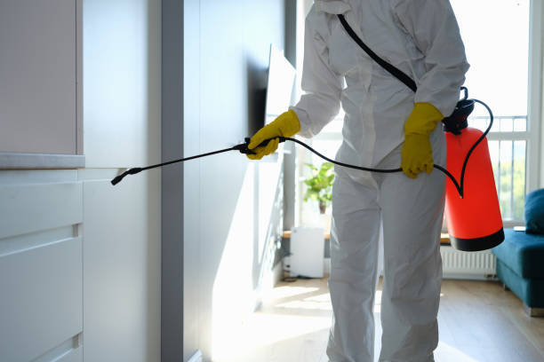 Best Mold Remediation  in Arlington, NY